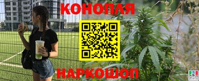 гашиш Кимры